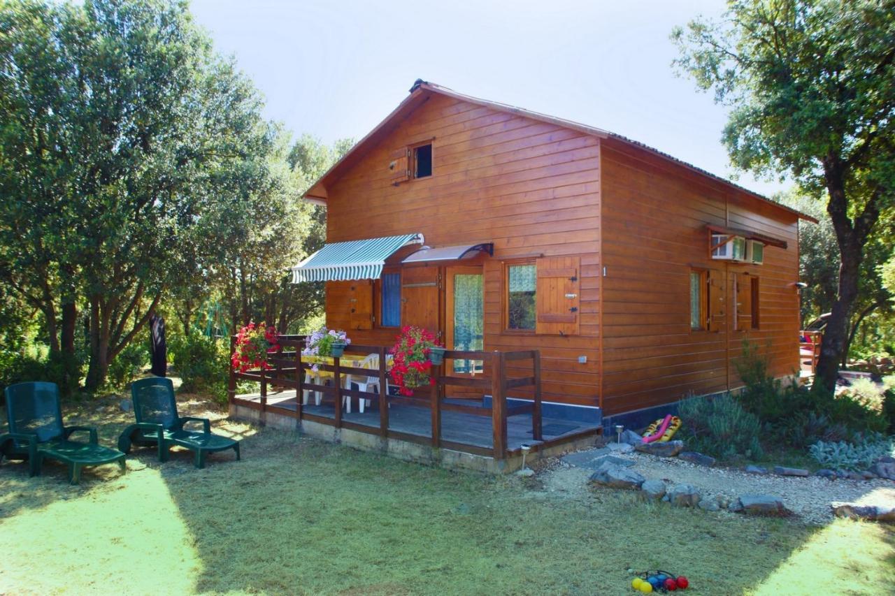 Gites De Plos Appart Chalet Piscine Spa Андуз Екстериор снимка